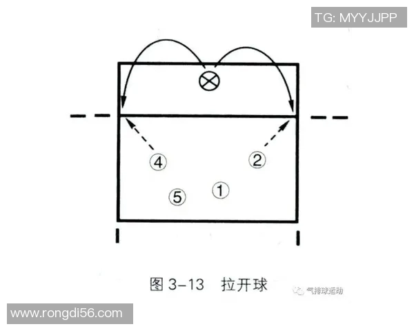 杭州排球队快攻战术解析与深度剖析排球竞技的魅力与挑战