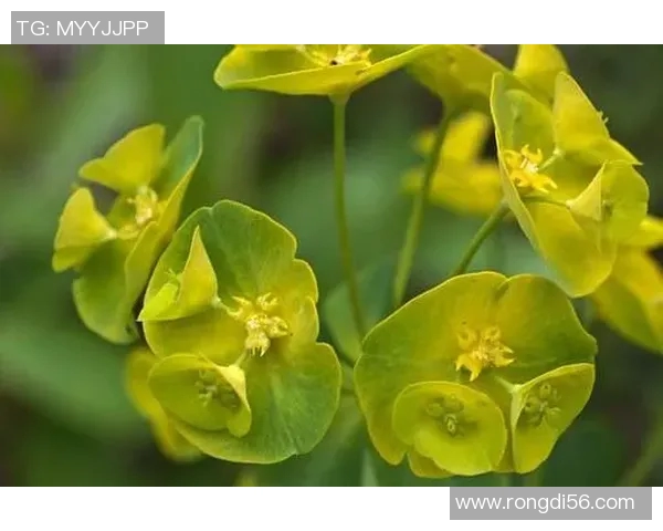 赵磊独家分享：深入浅出篮球技巧与心得体会解析