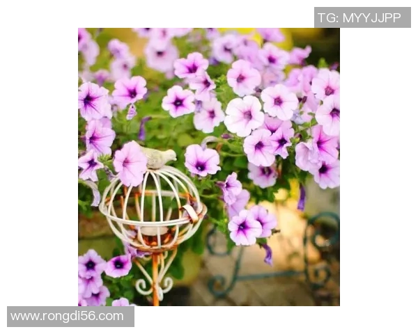 崔永熙的艺术之路与人生哲学探讨：从创作到影响力的全景分析