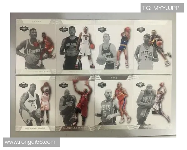 2013年NBA季后赛热火对决篮网精彩回顾与战术分析 2013年NBA季后赛热火对决篮网精彩回顾与战术分析